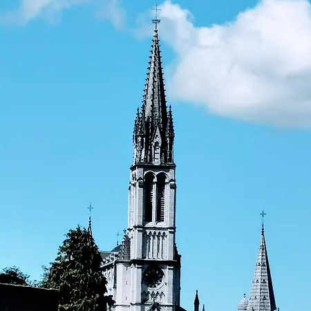 Hotel Alsace Lourdes